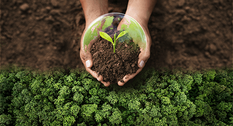 What is the role of AV industry in solving the climate crisis?