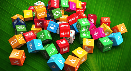 Dice of differnet logos