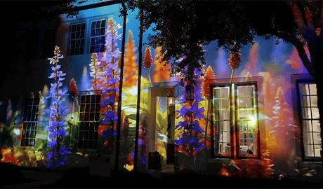 A Canvas of Light: How Panasonic Projectors Illuminated Alys Beach at the Digital Graffiti Festival